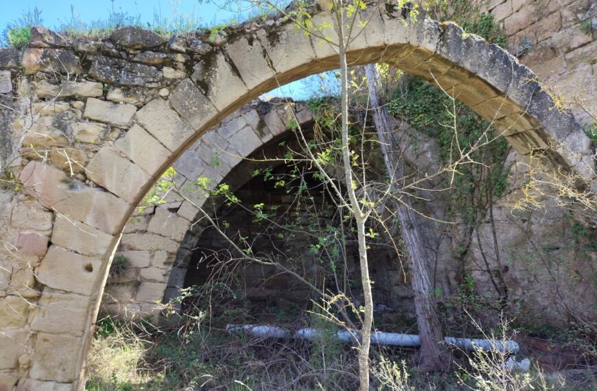 Hispania Nostra inclou a la Llista Roja del patrimoni en perill el Molí Vell de la Freixneda