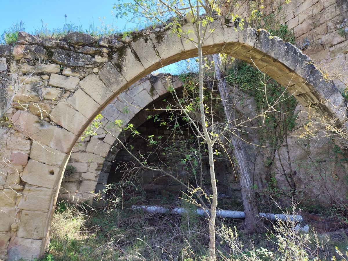 Hispania Nostra inclou a la Llista Roja del patrimoni en perill el Molí Vell de la Freixneda