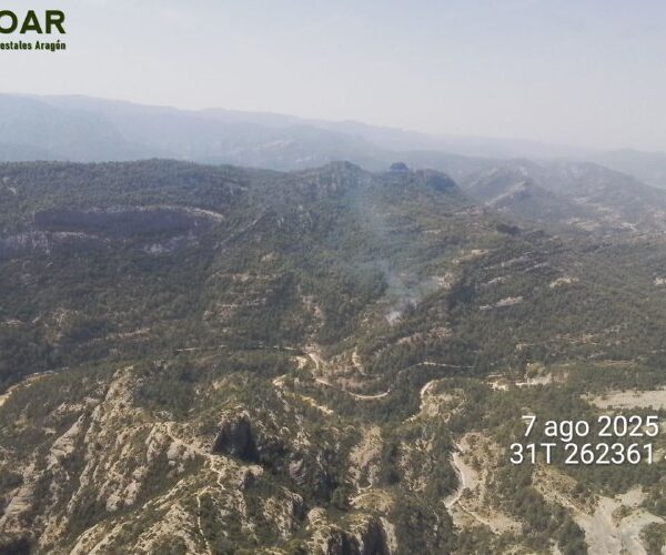 Queda estabilitzat un foc que ha cremat a la zona del Parrissal, a Beseit