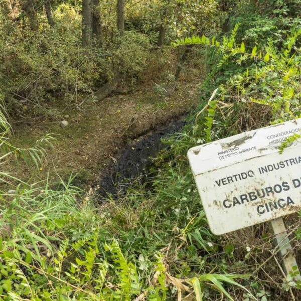 La CHE alerta que els rius de la Franja i de Lleida estan contaminats