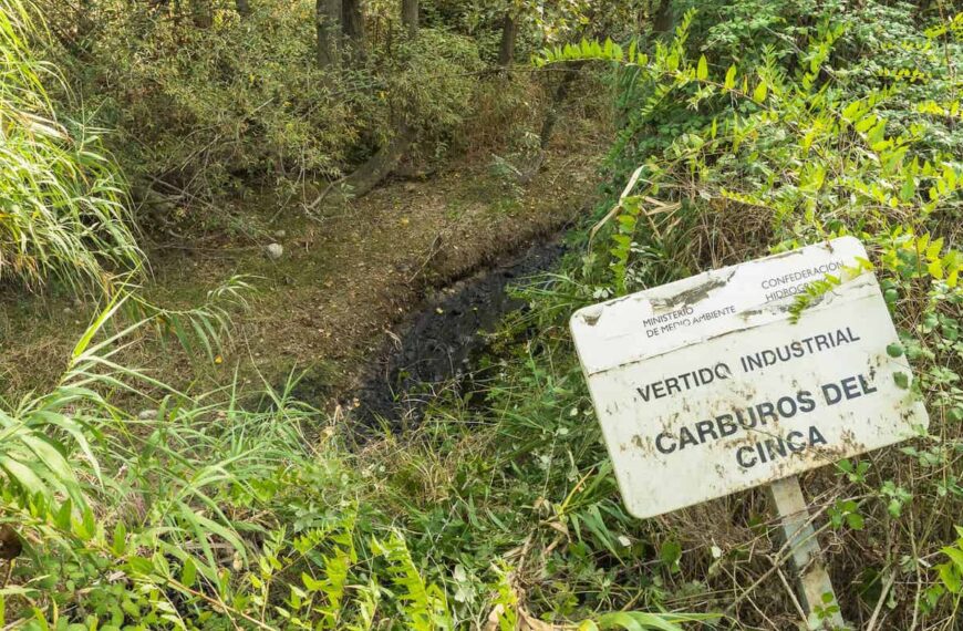 La CHE alerta que els rius de la Franja i de Lleida estan contaminats
