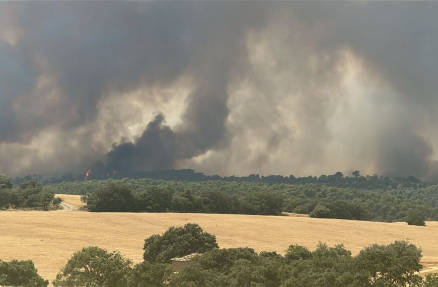 Desallotgen Açanui, Alins i Calassanç per un incendi iniciat a Pelegrinyó