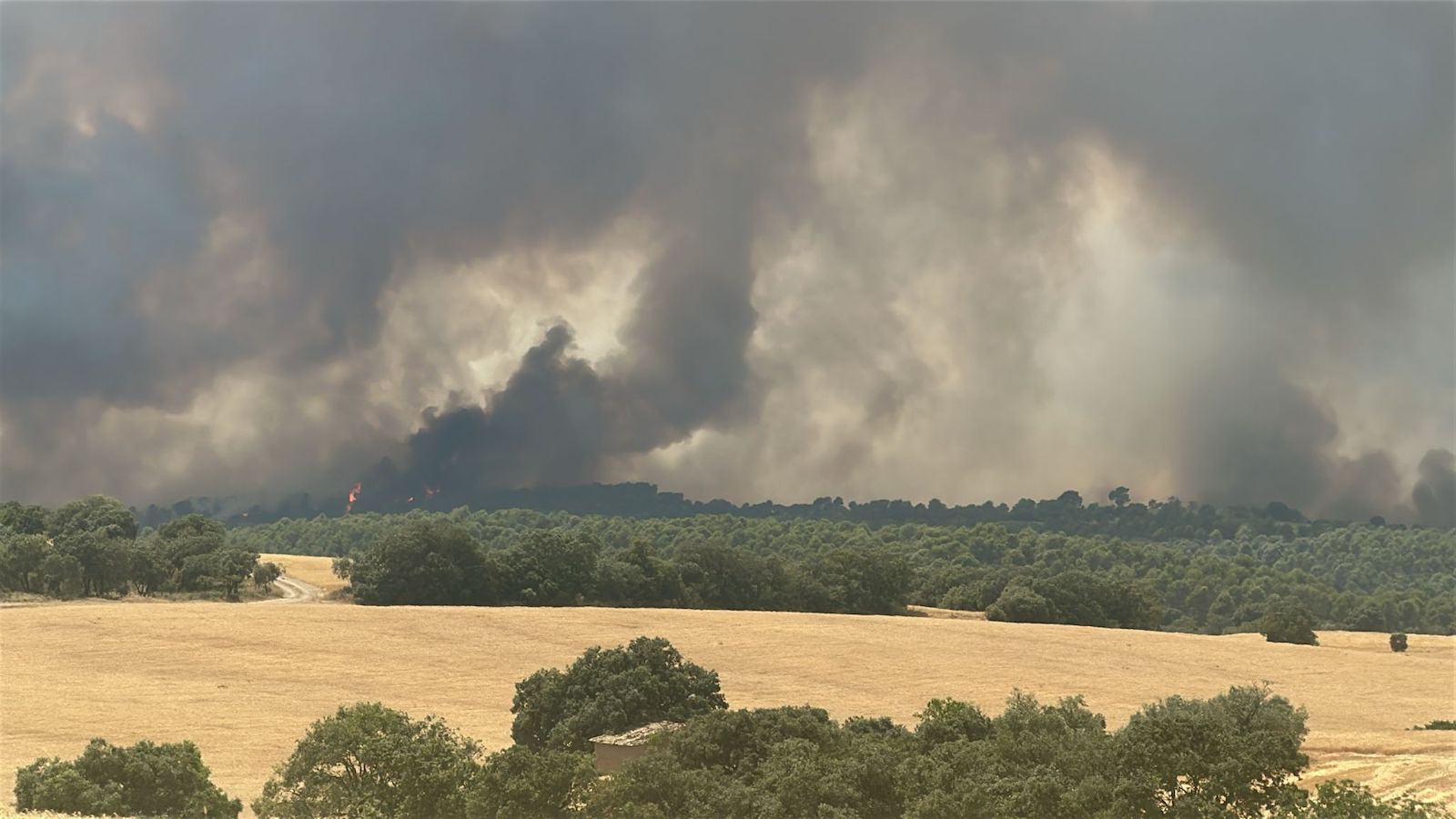 Desallotgen Açanui, Alins i Calassanç per un incendi iniciat a Pelegrinyó